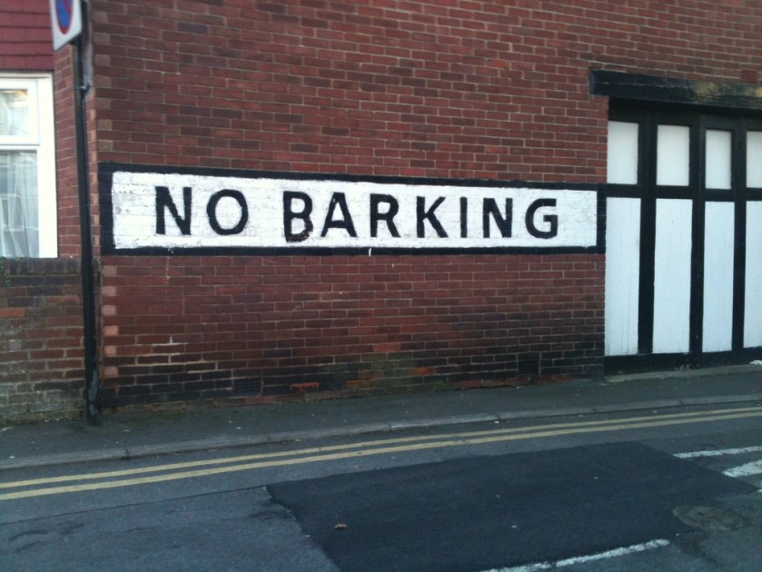 UNADJUSTEDNONRAW_thumb_8207