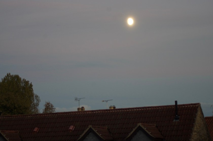 UNADJUSTEDRAW_thumb_7ec8