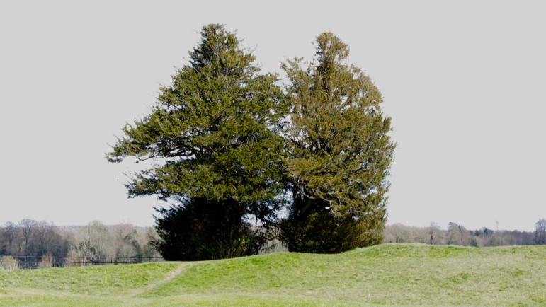 4t4PizADQI+FuwFFFMaMMQ_thumb_80a9