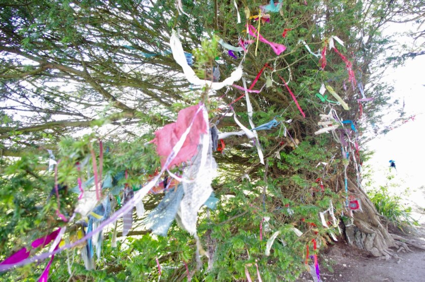 ildO19iYTCe0CrqRs1hLwA_thumb_80af